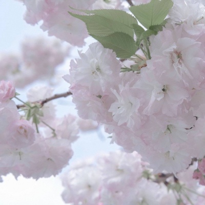 Furry绘画避坑指南福瑞群